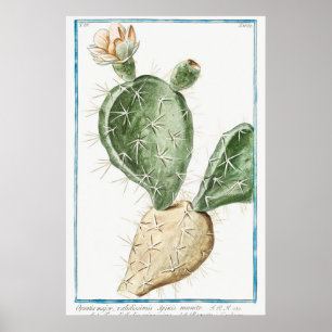 Illustration av vintage Cactus Poster