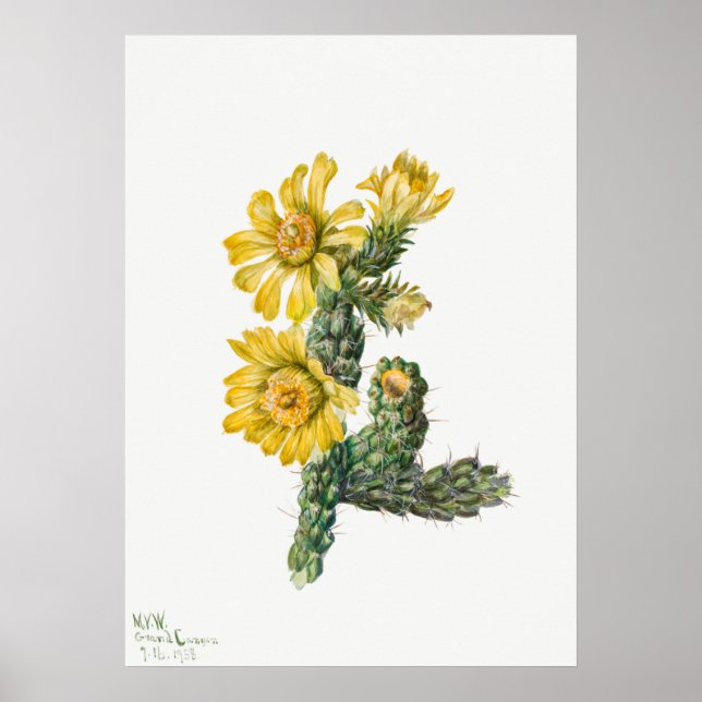 Illustration av vintage Cactus Poster (Framsidan)