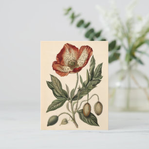 Illustration av vintage-diskett vykort