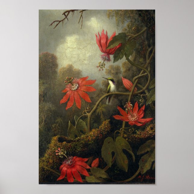 Illustration av vintage fåglar poster (Framsidan)