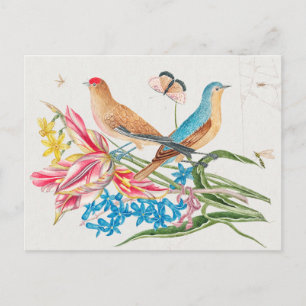 Illustration av vintage fåglar vykort