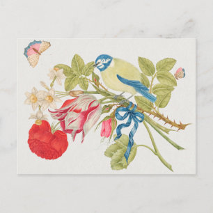 Illustration av vintage fåglar vykort