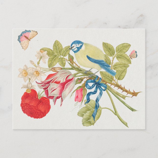 Illustration av vintage fåglar vykort (Framsida)