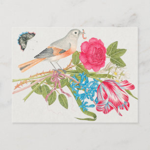 Illustration av vintage fåglar vykort