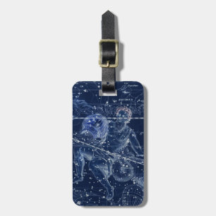 Illustration av Vintage för Aquarius Zodiac-tecken Bagagebricka