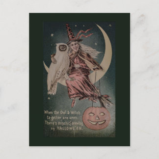 illustration av vintage Halloween Funny uggla Vykort
