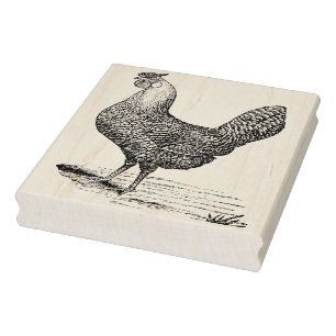 Illustration av Vintage i tupp - Lämnat yta Stämpel
