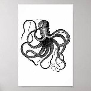 Illustration av vintage Octopus Poster