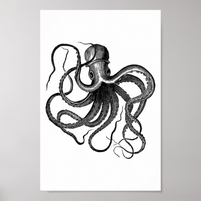 Illustration av vintage Octopus Poster (Framsidan)