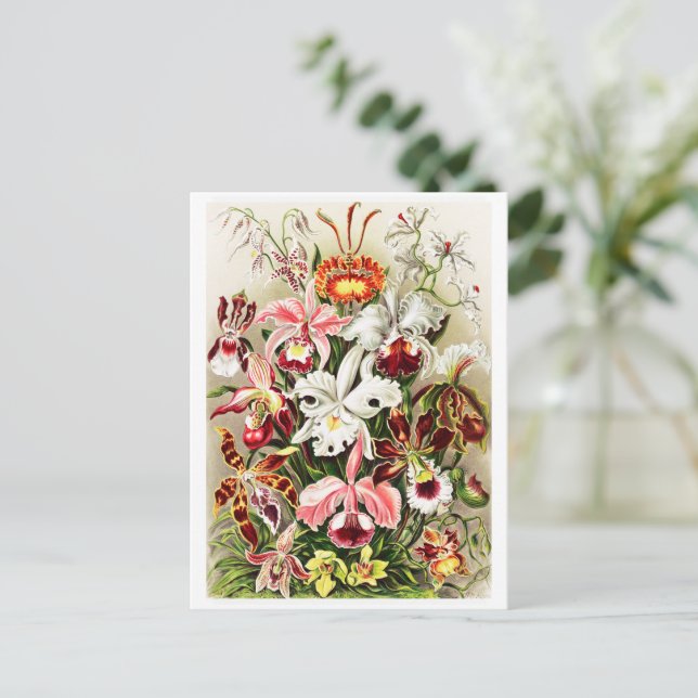 Illustration av vintage Orchids Vykort (Stående Fram)