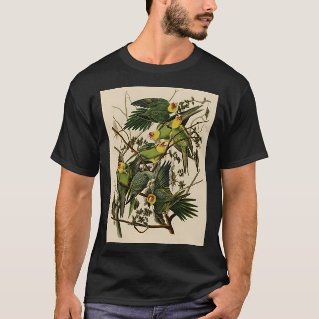 Illustration av vintage Parrot T Shirt (Framsida)