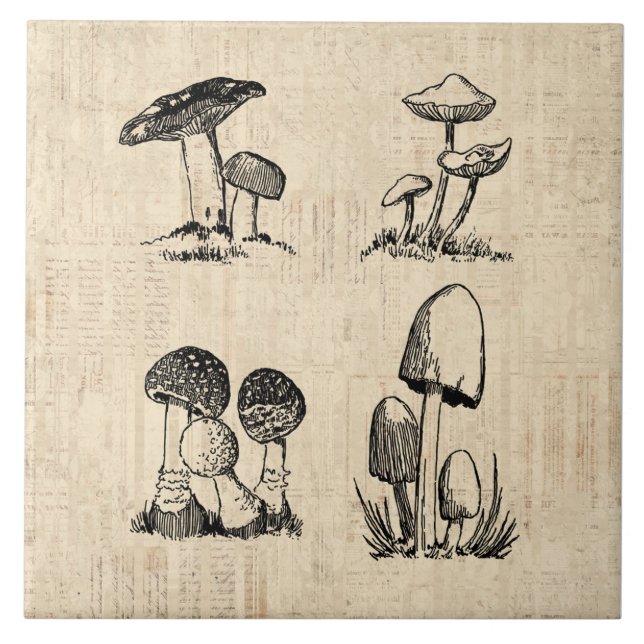 Illustration av vintage-svampkonst kakelplatta (Framsidan)