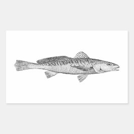 Illustration av Vintagen Atlantic Croaker Rektangulärt Klistermärke