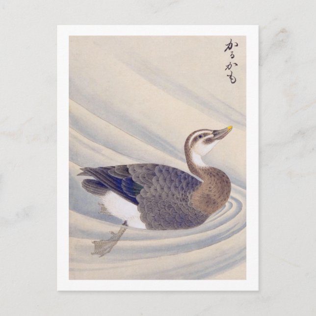 illustration av vintagen: Dekorfakturerad anka Vykort (Framsida)