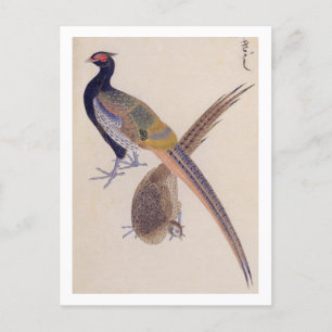 illustration av vintagen: fasan vykort