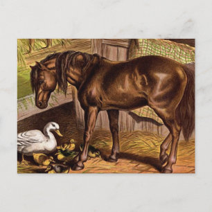 Illustration av Vintagen Häst och Ducklings Vykort