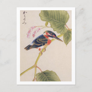 illustration av vintagen: Kingfisher Vykort