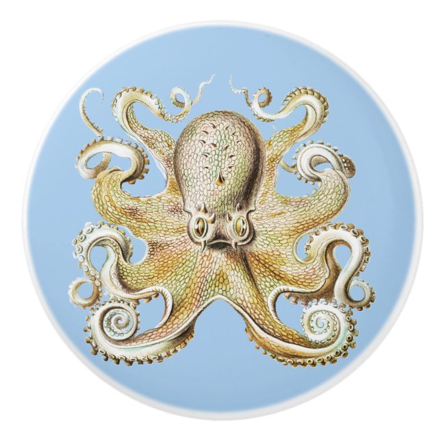 illustration av vintagen Octopus Marine Life Knopp (Framsidan)