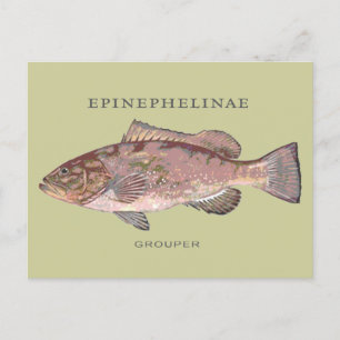 Illustration av Vintagen över grupperfisk Vykort