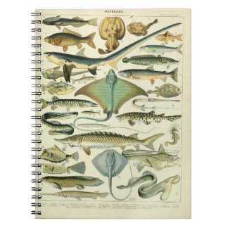 Illustration av Vintagen Poissons Anteckningsbok
