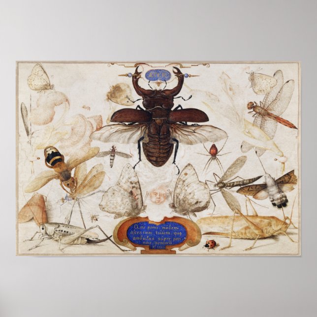 Illustration av vintagens Insekt Poster (Framsidan)