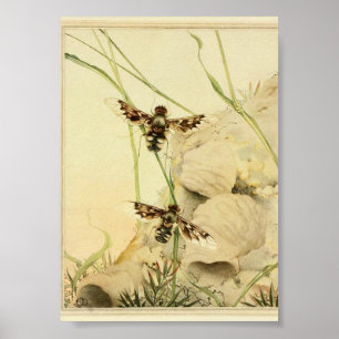 Illustration av vintagens Insekt Poster