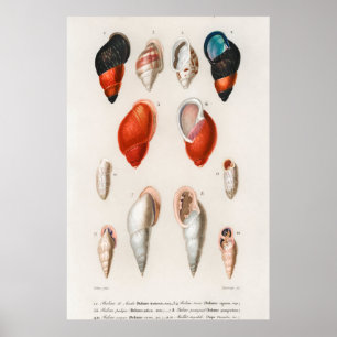Illustration av vintagens kontrollfält poster