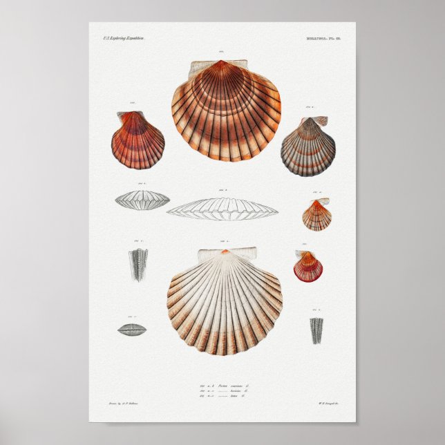 Illustration av vintagens kontrollfält poster (Framsidan)