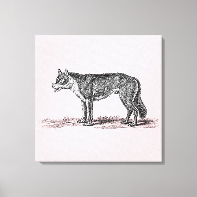 Illustration av vintagens Varg - 1800 års mall för Canvastryck (Framsida)