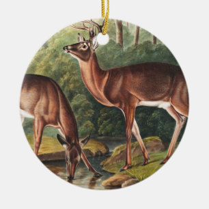 Illustration av Virginian Hjort (Cervus Virginianu Julgransprydnad Keramik