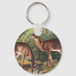 Illustration av Virginian Hjort (Cervus Virginianu Nyckelring