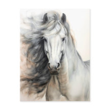 Illustration av vit häst Postcrossing