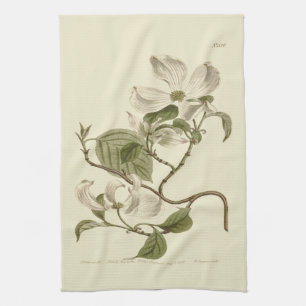 Illustration av vita Dogwood Flowers Kökshandduk