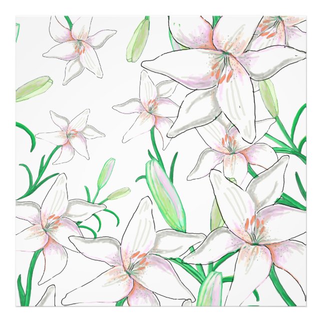 Illustration av vita Lilies Fototryck (Framsidan)