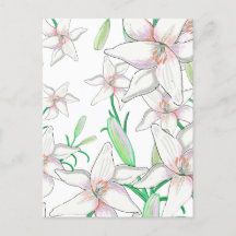 Illustration av vita Lilies