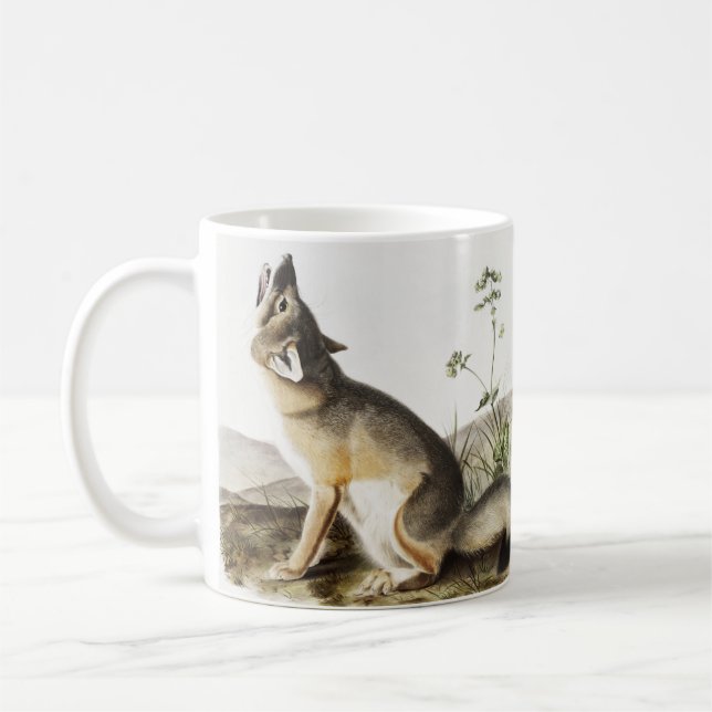 Illustration av vulpes velox (Vulpes velox) Kaffemugg (Vänster)