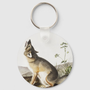 Illustration av vulpes velox (Vulpes velox) Nyckelring
