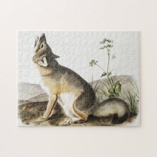 Illustration av vulpes velox (Vulpes velox) Pussel