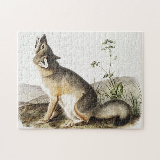 Illustration av vulpes velox (Vulpes velox) Pussel (Horisontell)
