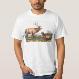 Illustration av Wapiti (Cervus Canadensis) T Shirt