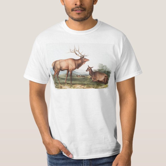 Illustration av Wapiti (Cervus Canadensis) T Shirt (Framsida)
