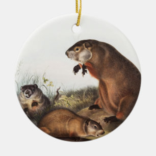 Illustration av Woodchuck (Arctomys monax) Julgransprydnad Keramik