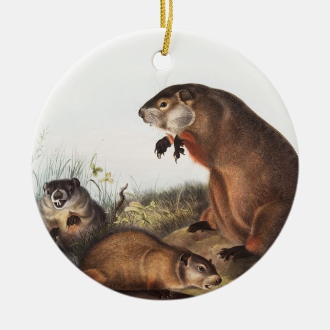 Illustration av Woodchuck (Arctomys monax) Julgransprydnad Keramik (Framsidan)