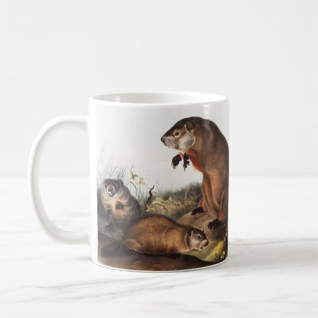 Illustration av Woodchuck (Arctomys monax) Kaffemugg (Vänster)