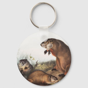 Illustration av Woodchuck (Arctomys monax) Nyckelring