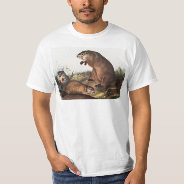 Illustration av Woodchuck (Arctomys monax) T Shirt (Framsida)
