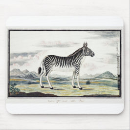 Illustration av Zebra Afrika Rand Animal Teckning Musmatta
