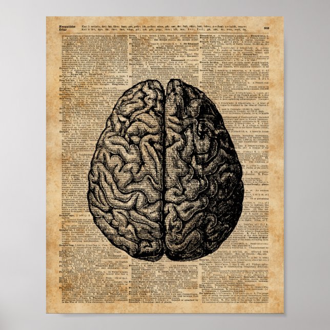 Illustration Dictionary Vintage Art Poster (Framsidan)