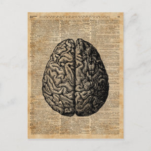 Illustration Dictionary Vintage Art Vykort