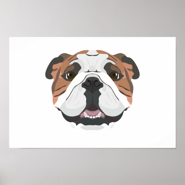 Illustration English Bulldog Poster (Framsidan)